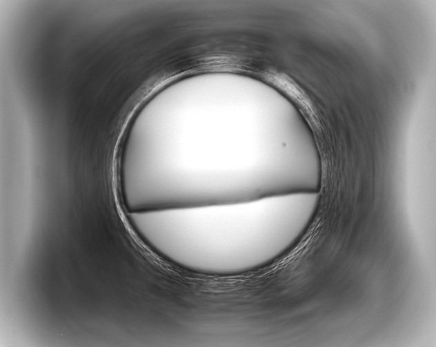 X0000098221431200804241124