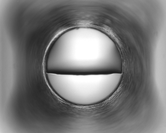 X0000098221432200804241124