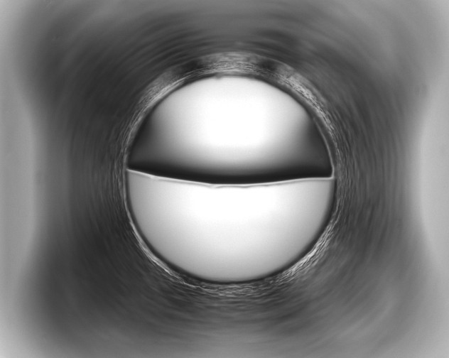X0000098221433200804241124