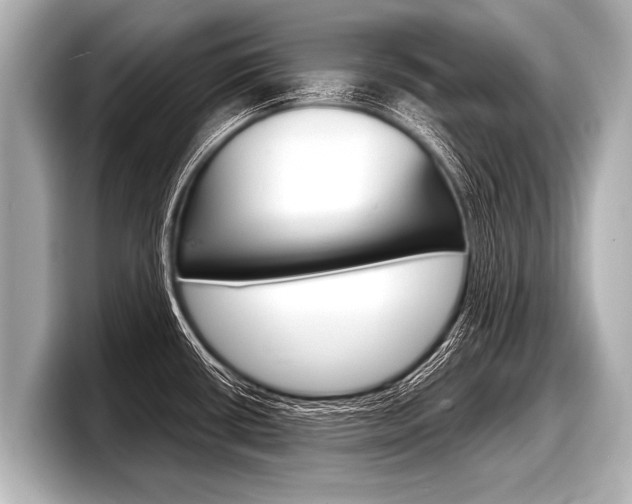 X0000098221434200804241124