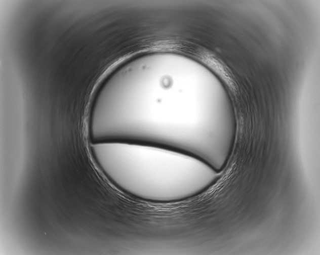 X0000098221436200804241124