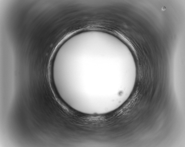 X0000098221437200804241124