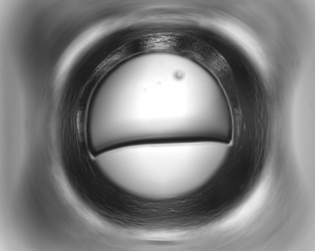 X0000098221438200804241124