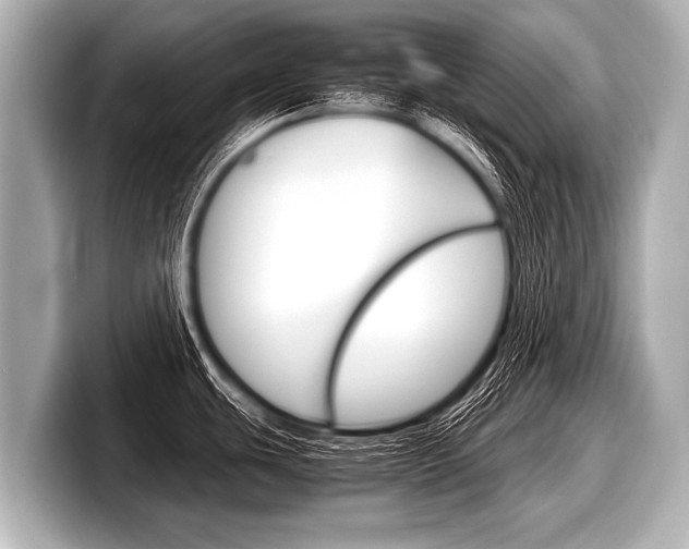 X0000098221439200804241124