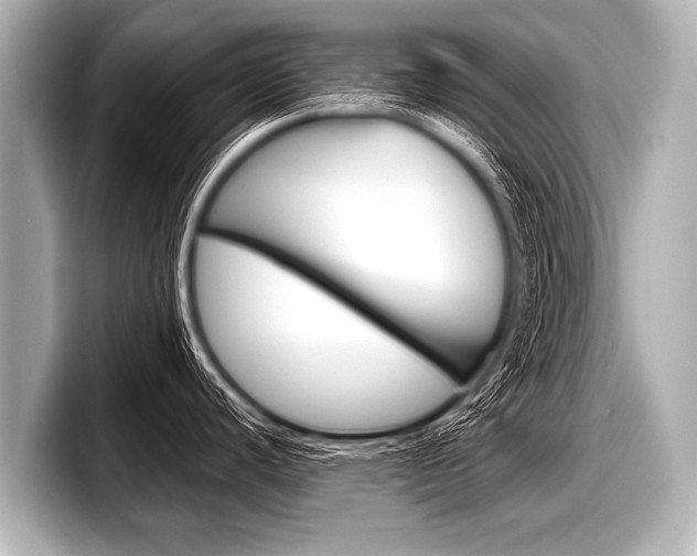 X0000098221440200804241124