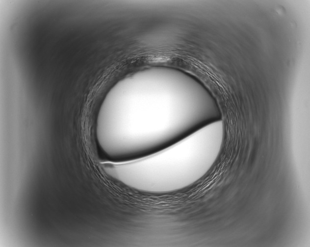 X0000098221441200804241123