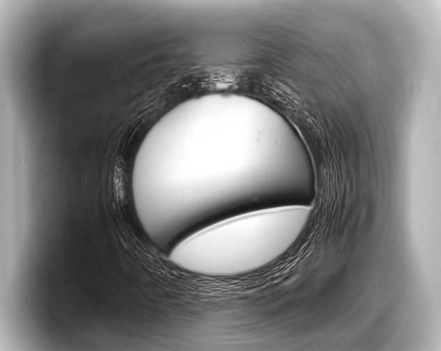 X0000098221442200804241123