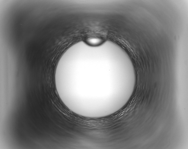 X0000098221444200804241123