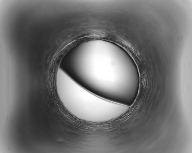 X0000098221448200804241123
