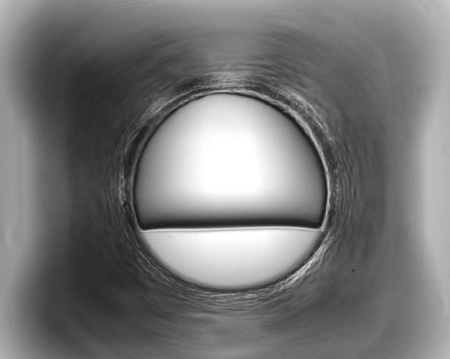 X0000098221449200804241123