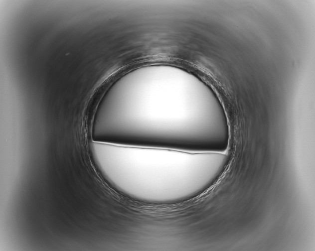 X0000098221450200804241123