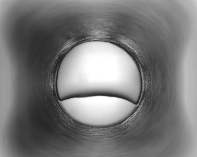 X0000098221451200804241123