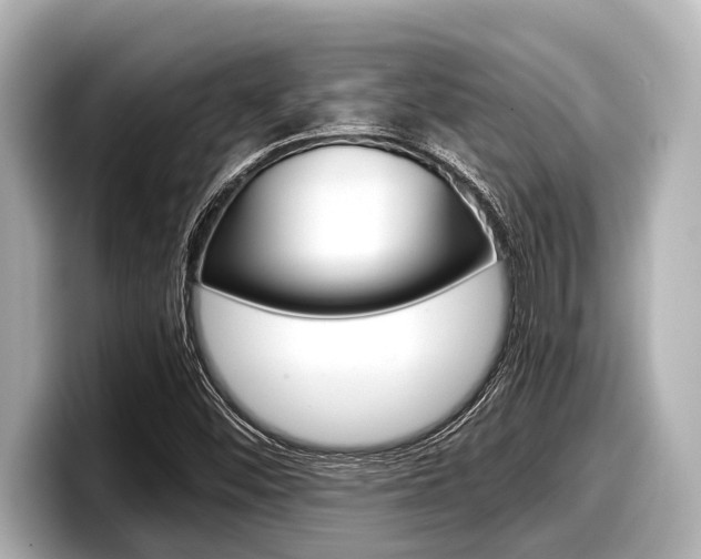 X0000098221452200804241123