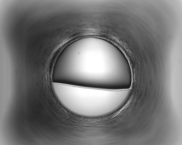 X0000098221453200804241123