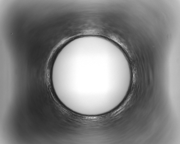 X0000098221454200804241123