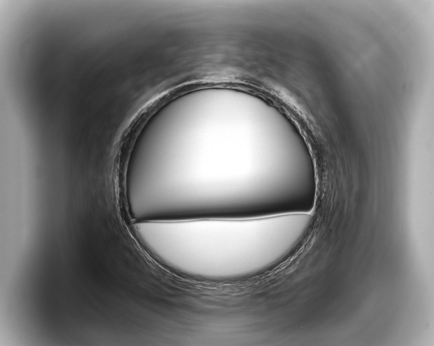 X0000098221456200804241123