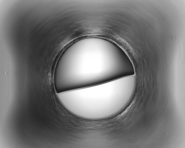 X0000098221457200804241123