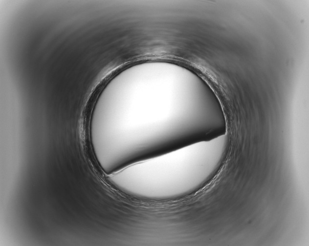 X0000098221458200804241123