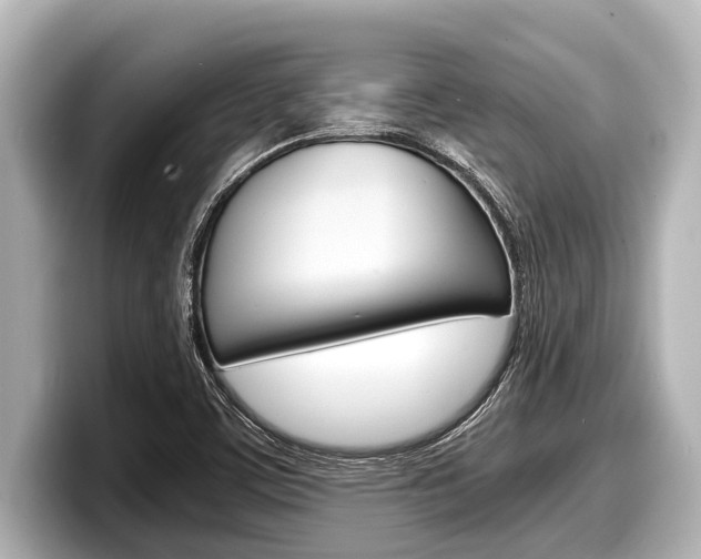 X0000098221459200804241123