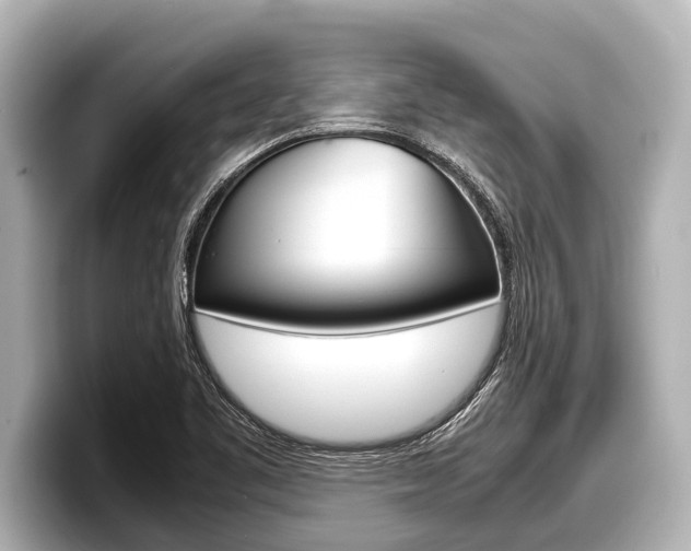 X0000098221461200804241123