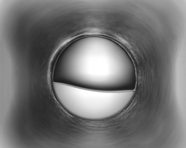 X0000098221464200804241123