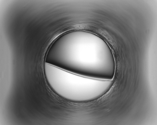 X0000098221465200804241123