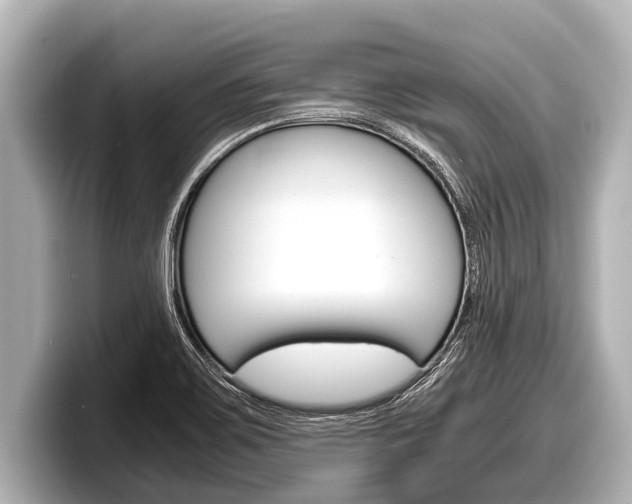 X0000098221467200804241123