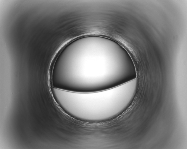 X0000098221468200804241123