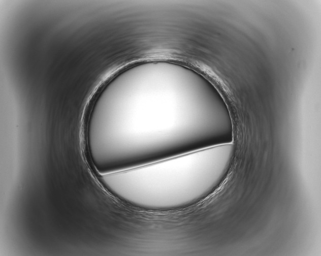 X0000098221469200804241123