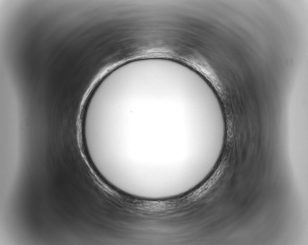 X0000098221470200804241123