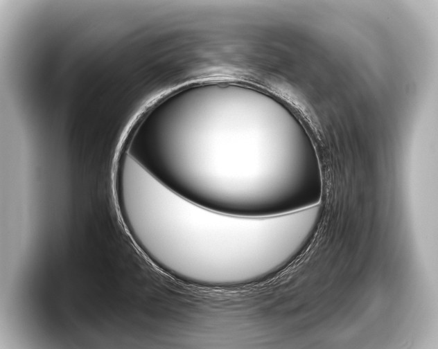 X0000098221472200804241123