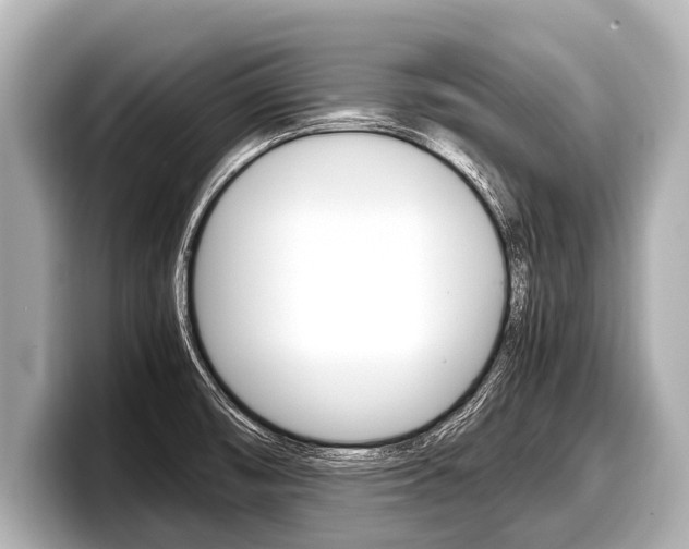 X0000098221474200804241123
