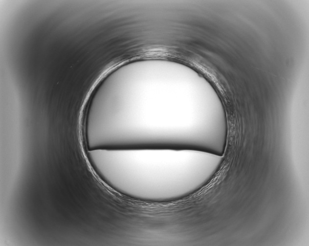 X0000098221475200804241123