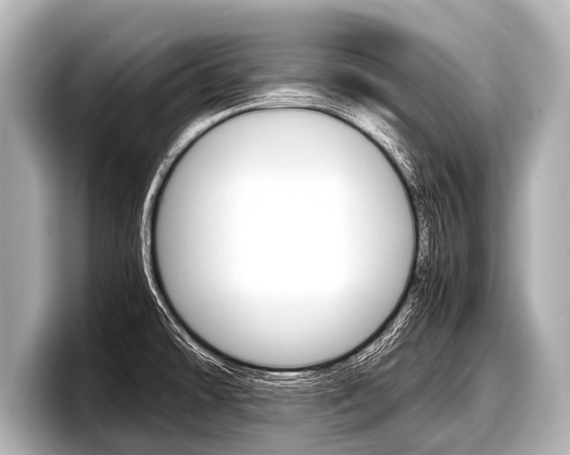 X0000098221478200804241123