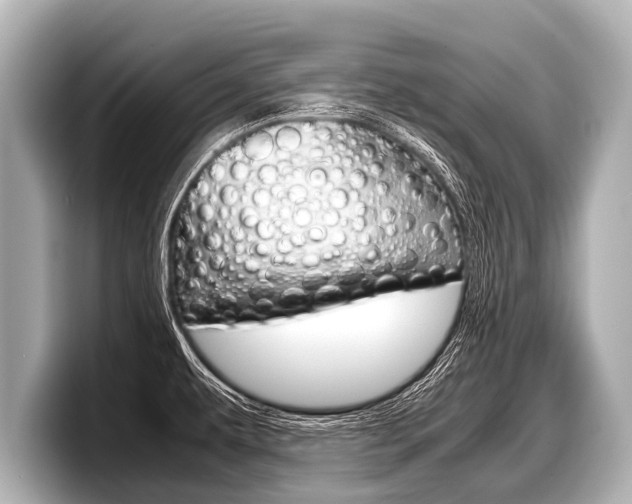 X0000098221479200804241123