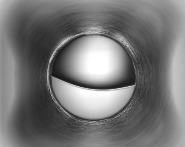 X0000098221480200804241123