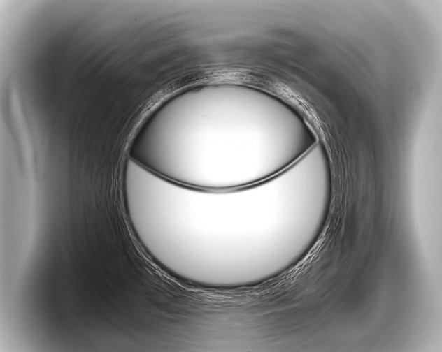 X0000098221481200804241123