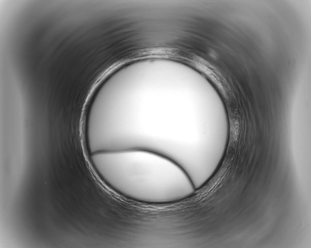 X0000098221482200804241123