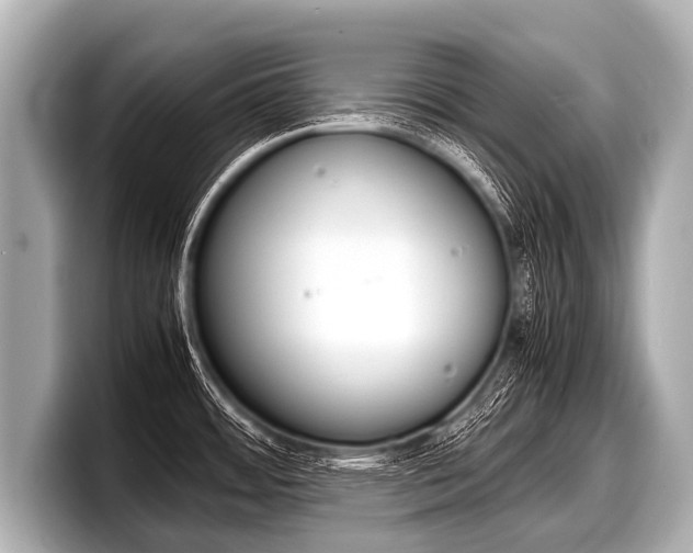 X0000098221484200804241123