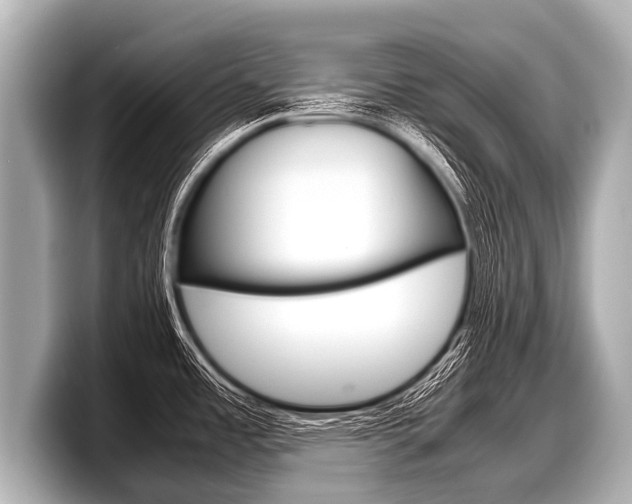 X0000098221485200804241123