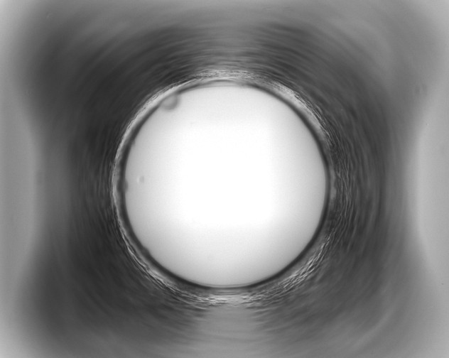 X0000098221486200804241123
