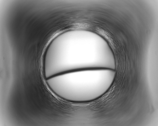 X0000098221487200804241123