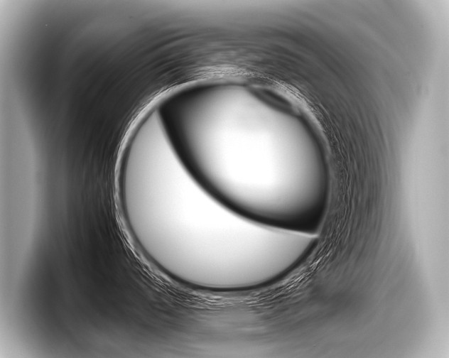 X0000098221488200804241123