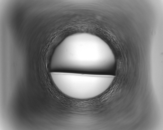 X0000098221489200804241122
