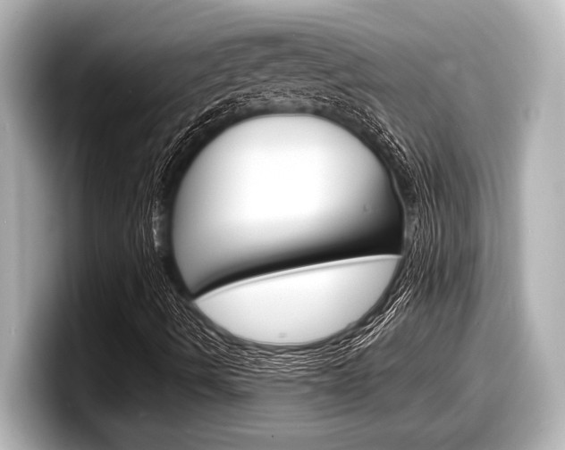 X0000098221490200804241122