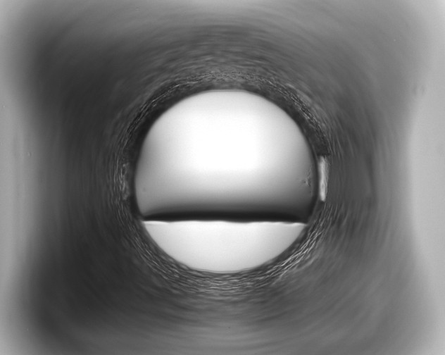 X0000098221491200804241122