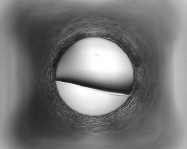 X0000098221493200804241122