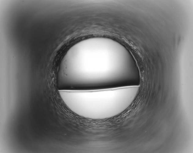 X0000098221495200804241122