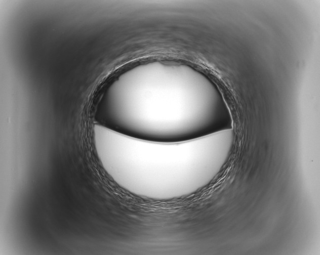 X0000098221496200804241122