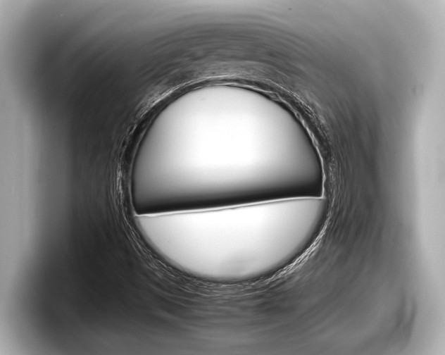 X0000098221497200804241122